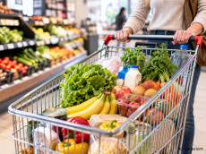 Gut gepackt bleibt l�nger frisch: So kommt der Einkauf sicher nach Hause