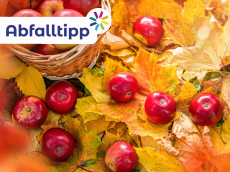 Herbst im Kreis Neuwied: So werden Fallobst und Laub richtig entsorgt