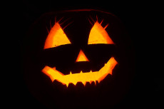 Tierpark Niederfischbach plant Halloween-Fest mit Zeitfenster-Tickets