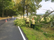 Windiges Chaos in der Verbandsgemeinde Betzdorf-Gebhardshain: Feuerwehr beseitigt umgest�rzte B�ume