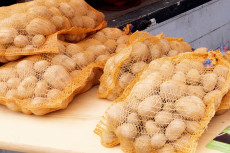 Kartoffelanbau in Rheinland-Pfalz unter Druck: Weniger Betriebe und steigende Kosten