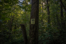 Exkursion in die Bergbaugeschichte von Raubach
