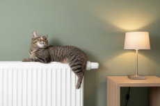 Solar- und W�rmebotschafter bringen Wissen direkt aus der Praxis