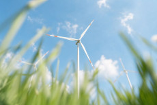 Windpark Drei Eichen: Kritik an Umgang mit B�rgerbefragung