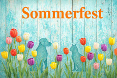Sommerfest im Tierheim Ransbach-Baumbach mit buntem Programm