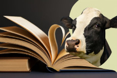 Literarischer Abend im Sozialkaufhaus Montabaur: Geschichten mit Witz und Herz