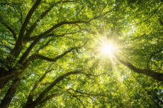 Gesundheitsprogramm f�r Erwerbslose im Westerwald wird bis 2028 fortgesetzt