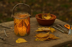 Kreativ im Herbstwald: Laternen basteln aus Naturmaterialien in Neuhusel