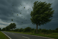 Sturmböen über der Region erwartet – Warnung des Deutschen Wetterdienstes
