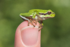 Naturschutz erleben: Vortrag zeigt Wege vom Wissen zum Handeln