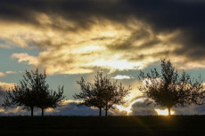 Mildes Wetter in Rheinland-Pfalz erwartet: Temperaturen bis 13 Grad