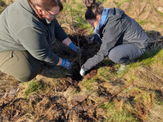 Aufforstung im Westerwald: 500 neue B�ume in Neunkhausen gepflanzt