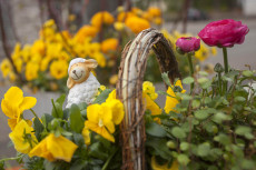 Osterzauber 2026 unterst�tzt Rollitennis e.V. Windhagen