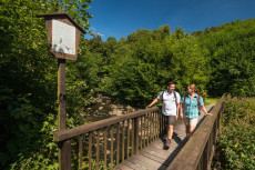 Entdeckungstour: Stadtgeschichte trifft auf Natur