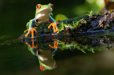 3D-Show zeigt Natur und Menschen Costa Ricas