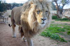 Auf Entdeckungstour in der Zoom Erlebniswelt Gelsenkirchen