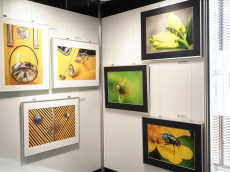 "Magie der Farben": Fotoausstellung im St�ffel-Park