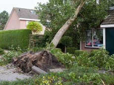 Unwettersch�den: So handelt man richtig