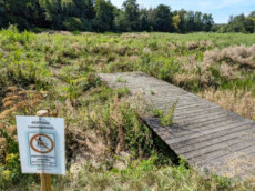 Mammelzer Weiher, Kitas oder Hochwasserschutz: VG-Ausschuss st��t Projekte an