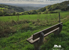 Anspruchsvolle Wanderung auf der Linzer H�he
