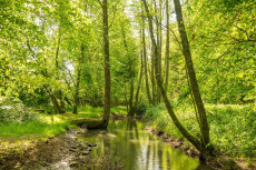 Natur hautnah erleben: Exkursion der LEADER-Region Westerwald-Sieg