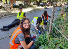 Internationale Jugend versch�nert Linz am Rhein