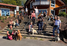 Gemeinsame Hundewanderung im W�llerLand am Wiesensee