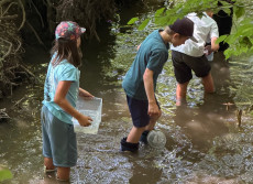 Entdeckungsreise im Erbach: NAJU-Kinder erforschen das Leben im Bach