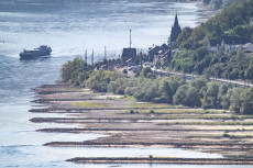 D�rre und Hitze: Ein neues Normal f�r Rheinland-Pfalz?