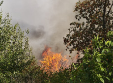 Eilmeldung: Gro�alarm! Waldbrand bei Gebhardshain - Es wird evakuiert!