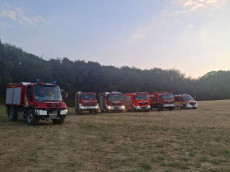 Feuerwehreins�tze in der Region: Wald- und Vegetationsbr�nde fordern Einsatzkr�fte