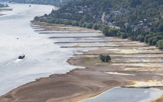 Rhein-Niedrigwasser trifft Binnenschifffahrt erheblich