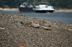 Niedrigwasser am Rhein: Lkw-Fahrverbot an Sonn- und Feiertagen aufgehoben