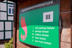 Waldbrandgefahr in Rheinland-Pfalz steigt ab Mittwoch deutlich an