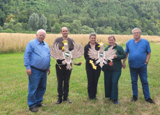 Spannung beim Vogelschie�en in Scheuerfeld