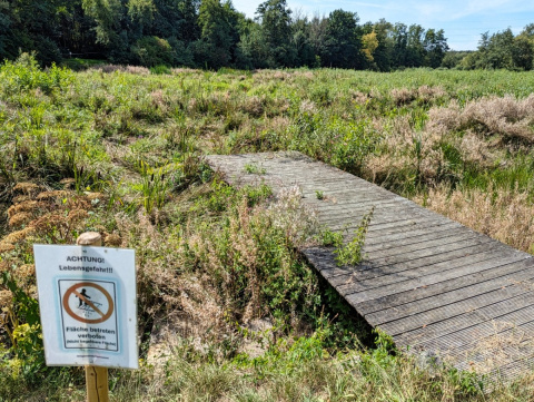 Mammelzer Weiher wird nicht mehr zum Leben erweckt: Immense Kosten bedeuten Aus des Angelgewssers