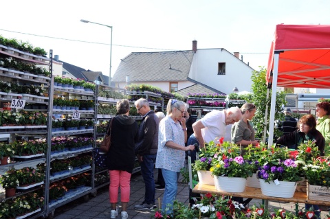 Traditioneller Blumenmarkt in Horhausen: Bltenpracht und Duft erfreute die Besucher