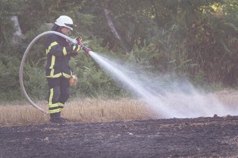 Kampf gegen die Flammen: Feuerwehr stoppt Gro�brand kurz vor dem Waldrand