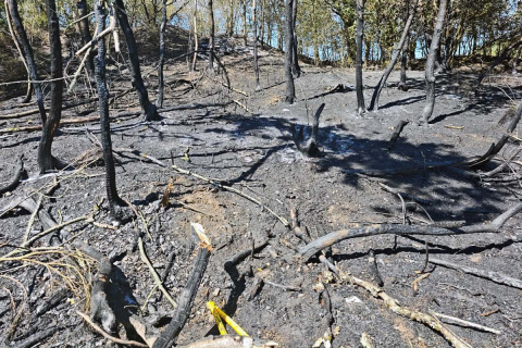 Trockenheit forderte ihren Tribut: 2.000 Quadratmeter Wald brannten in Hohensayn
