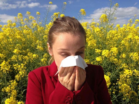 Heuschnupfen und Pollenallergie: Erste Hilfe aus Apotheke und Natur