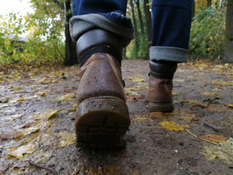Wanderfreunde freuen sich auf die "5-D�rfer-Tour 2026" zwischen Nauort und Wirscheid