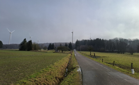 Pl�ne f�r Windkraftanlagen in Wirges und Selters vorgestellt