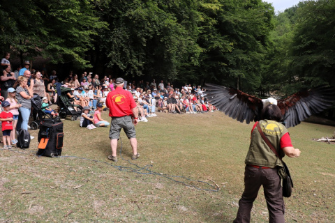 Gelungenes Sommerfest im Wildpark Westerwald zieht zahlreiche Besucher an