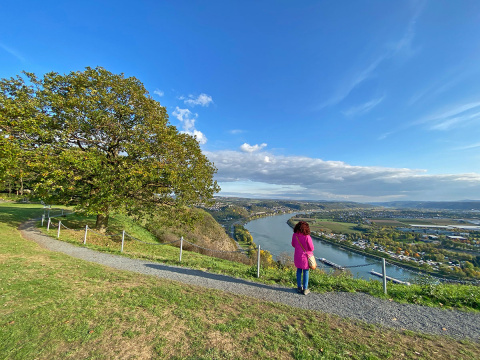 Rotbäckchen-Rundwanderweg Unkel: Genussvolle Runde zwischen Rhein und Wein