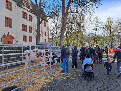 "LandLive" in Hadamar: Familientag mit Handwerk, Kulinarik und Landleben