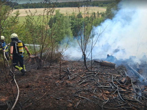 AKTUALISIERT | Waldbrand bei Alberthofen