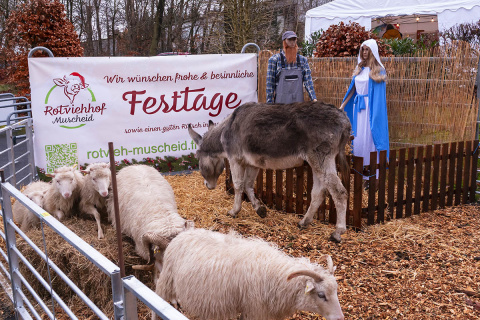 Kunsthandwerk und Kulinarik beim Drrholzer Weihnachtsmarkt
