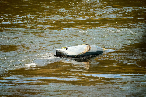 Urteil f�r Wasserkraft: Genehmigung f�r Rhein-Anlage erteilt