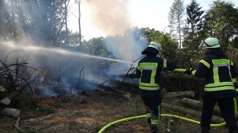 Waldbrand in Alsdorf: Brand von rund 80 Quadratmeter Waldboden