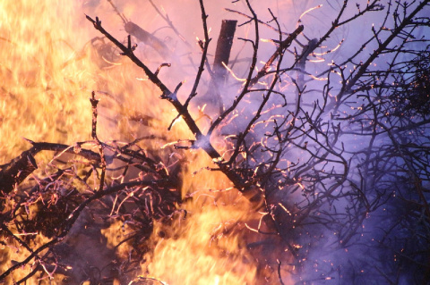 Eilmeldung: Gro�alarm! Waldbrand bei Gebhardshain - Es wird evakuiert!